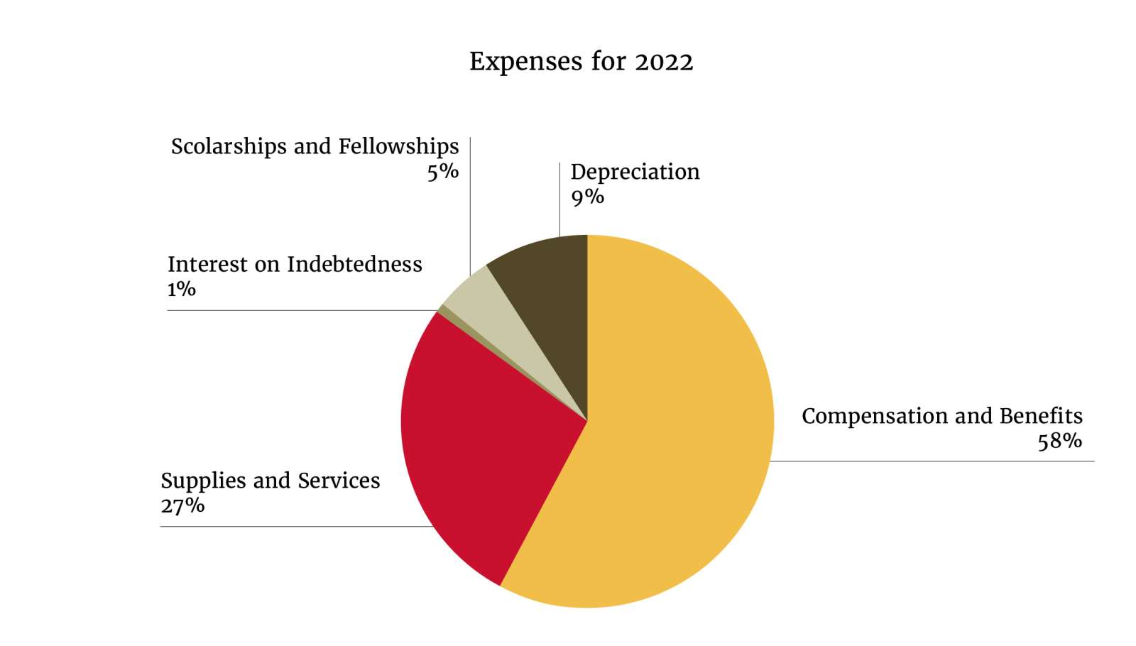 Expenses pie chart